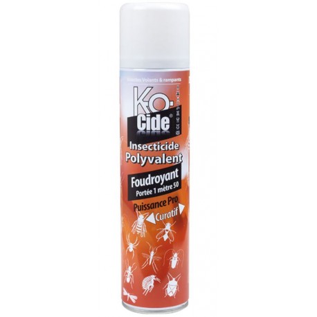 SPRAY INSECTICIDE POLYVALENT KOCIDE